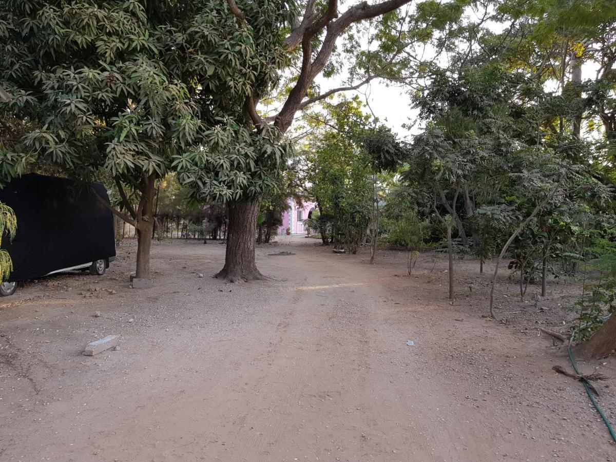 Villa Amarant - Private Garden With Pool Retreat Sanyang Exterior foto