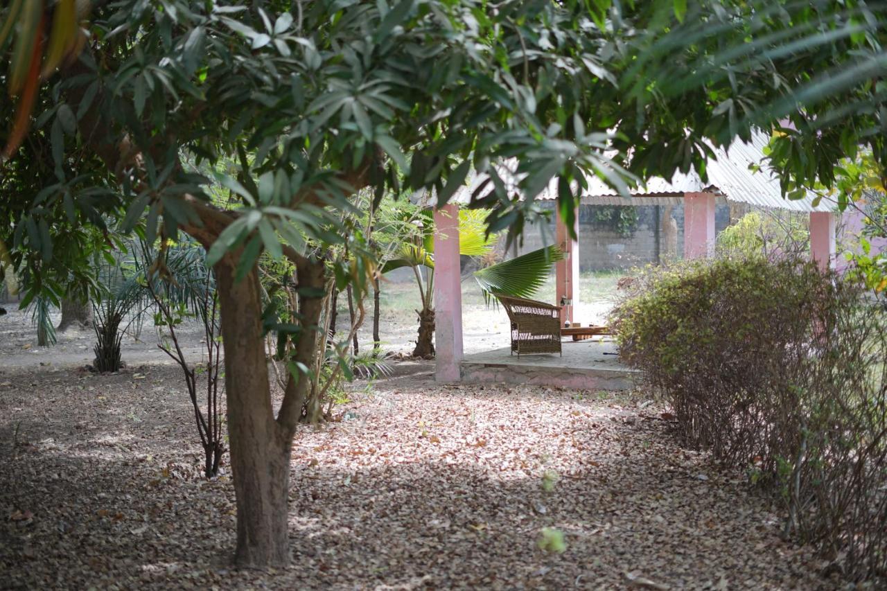 Villa Amarant - Private Garden With Pool Retreat Sanyang Exterior foto